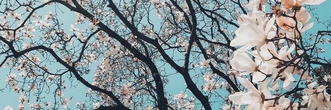 abby_proffitt's profile banner image