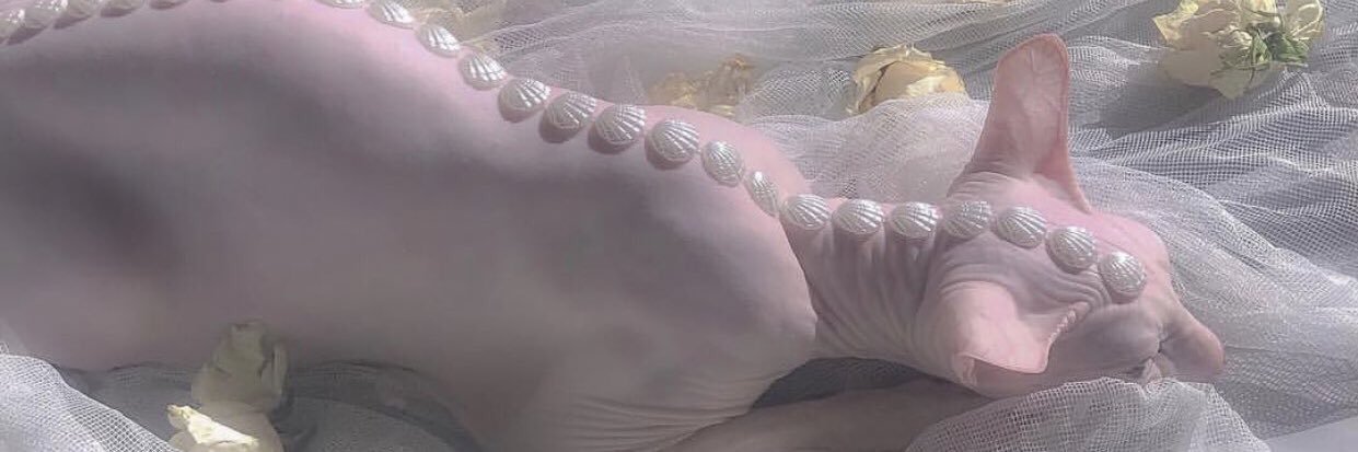 GREAY_ORGASM's profile banner image
