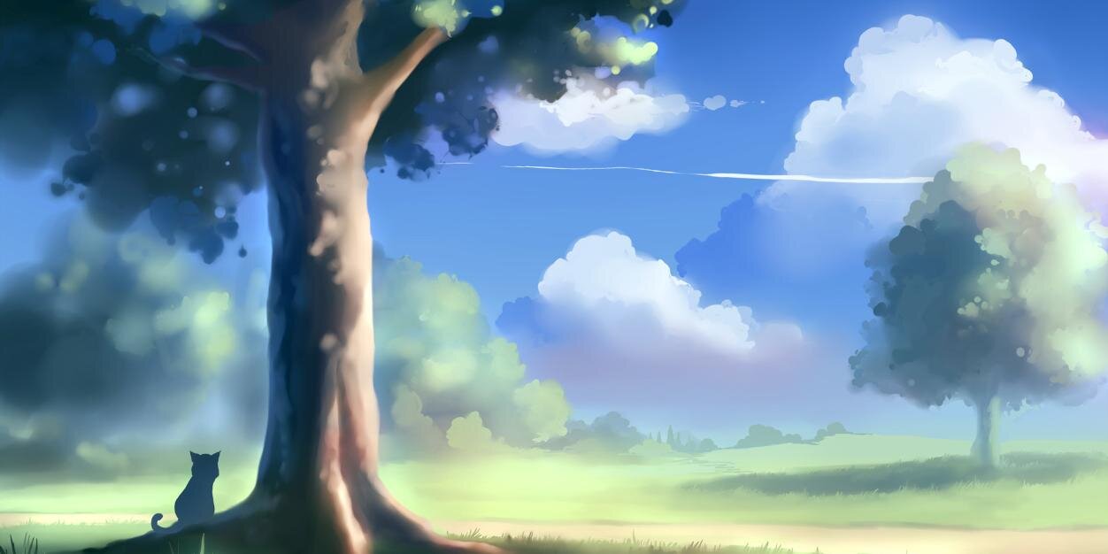 Caroquirez's profile banner image
