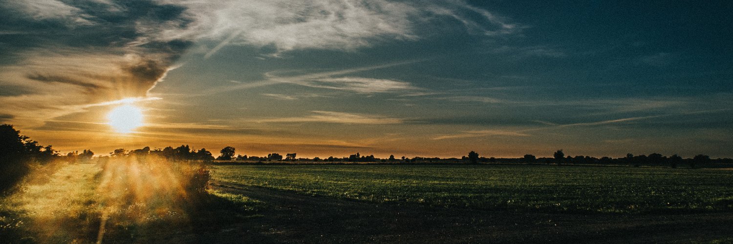Erenius's profile banner image