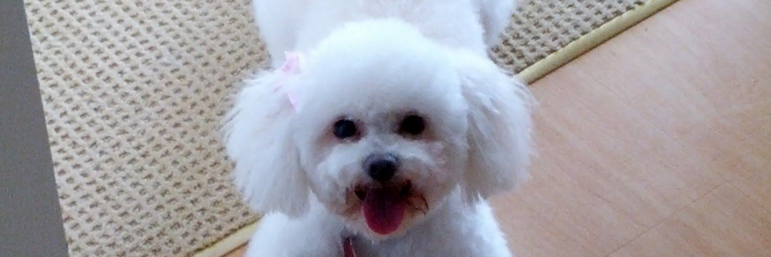 KendraDaniel1's profile banner image