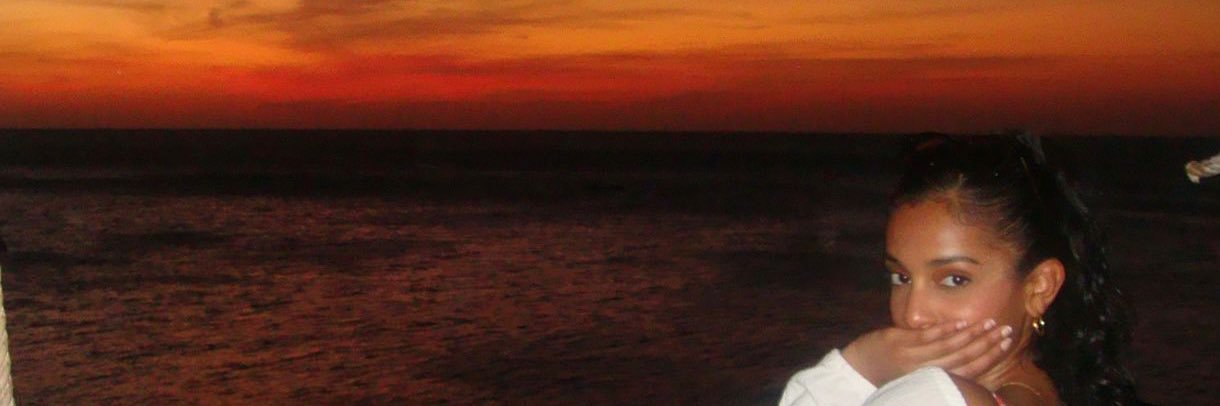 NothingButNaran's profile banner image