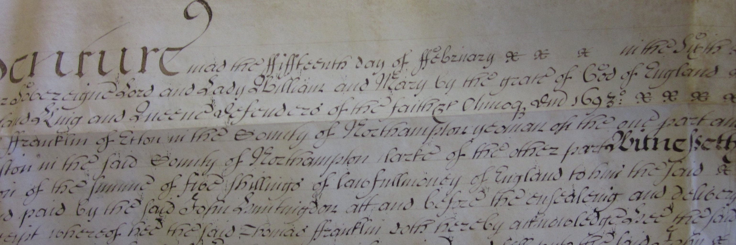 Genealogy Professor banner