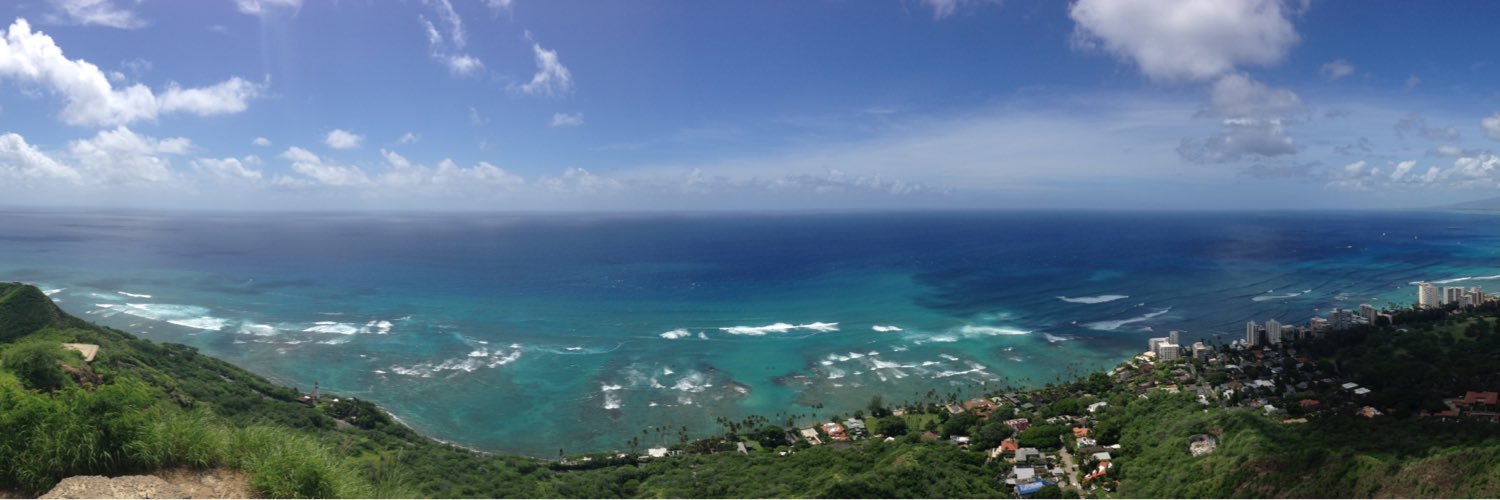 Janos Szendi-Varga banner