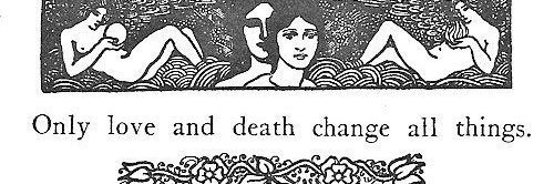 1907nokta's profile banner image
