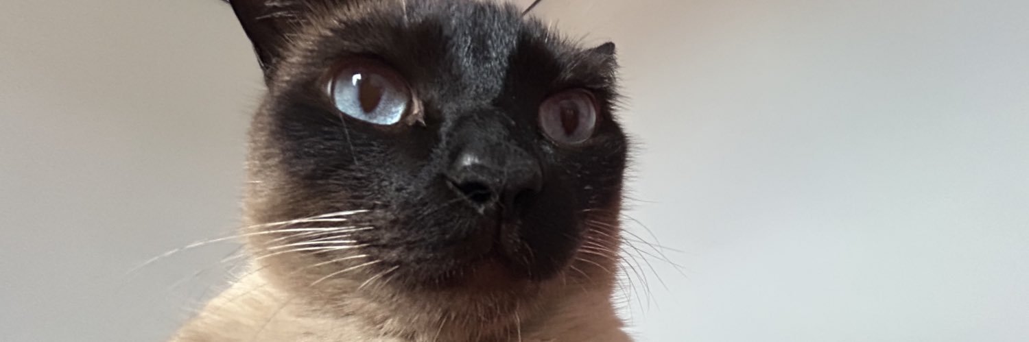badiriti's profile banner image