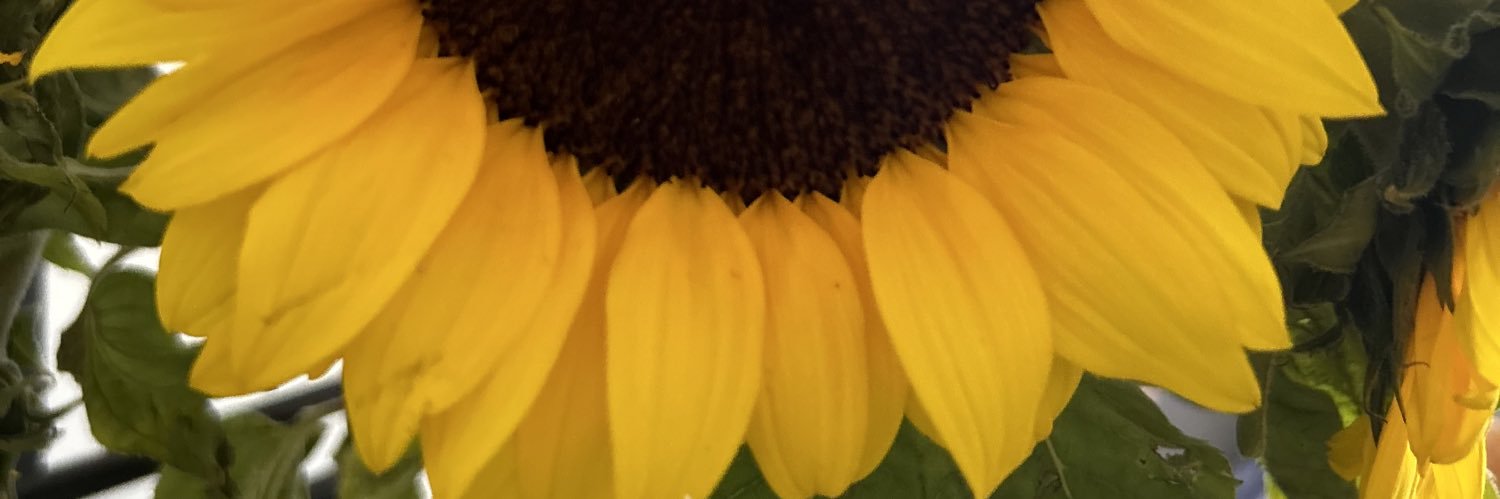 MelidaMarinR_'s profile banner image