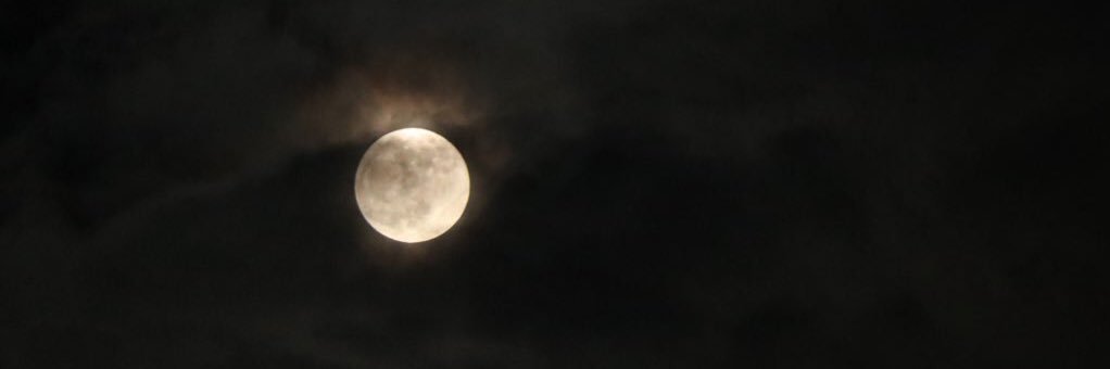 _19980711_'s profile banner image