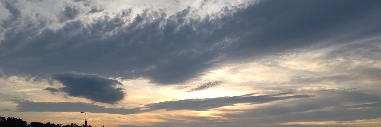 canpannen's profile banner image