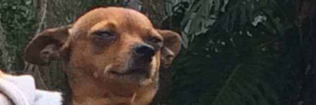 dakotaatews's profile banner image