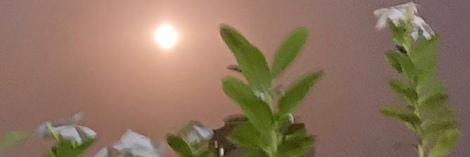 sac_agg's profile banner image