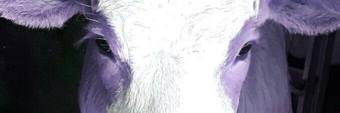Joey_Soap's profile banner image