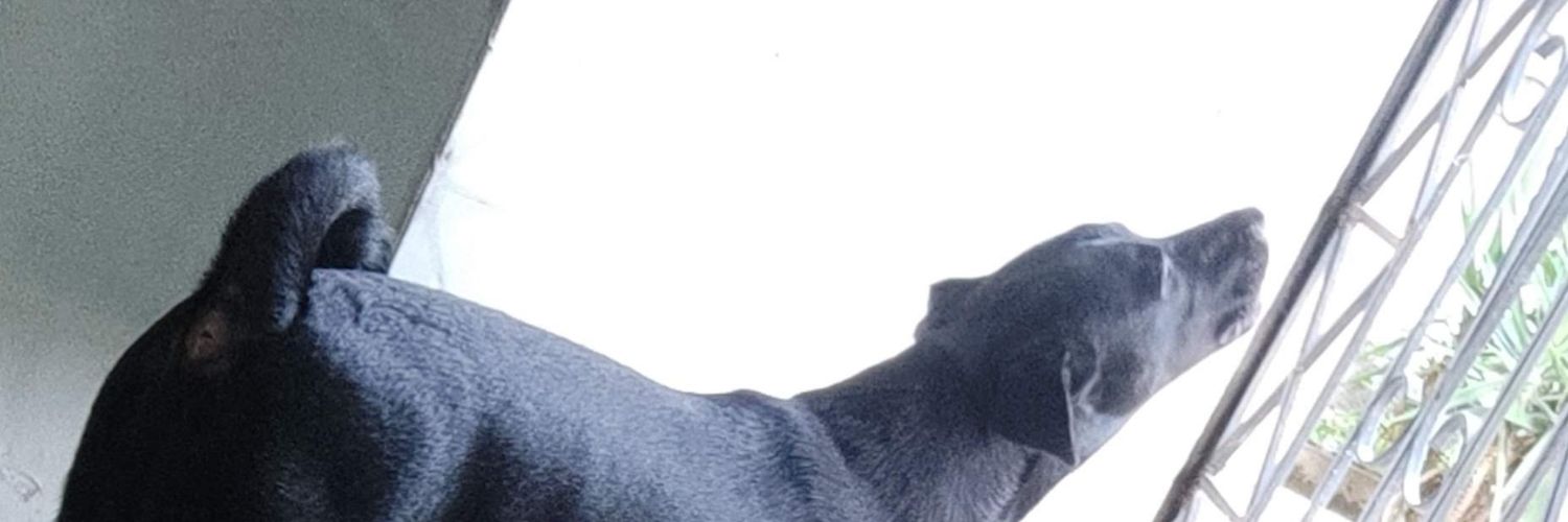renecolocho's profile banner image
