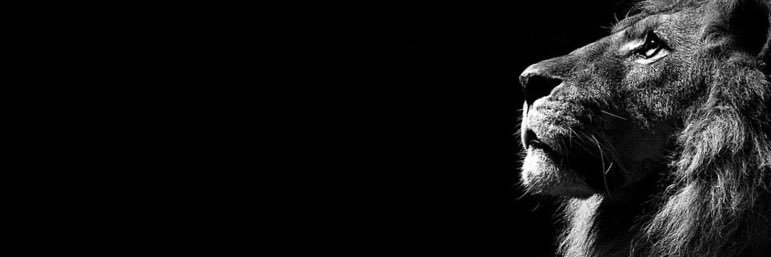 eNwordd's profile banner image