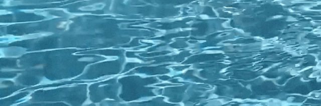 Just Steph 🌷 banner