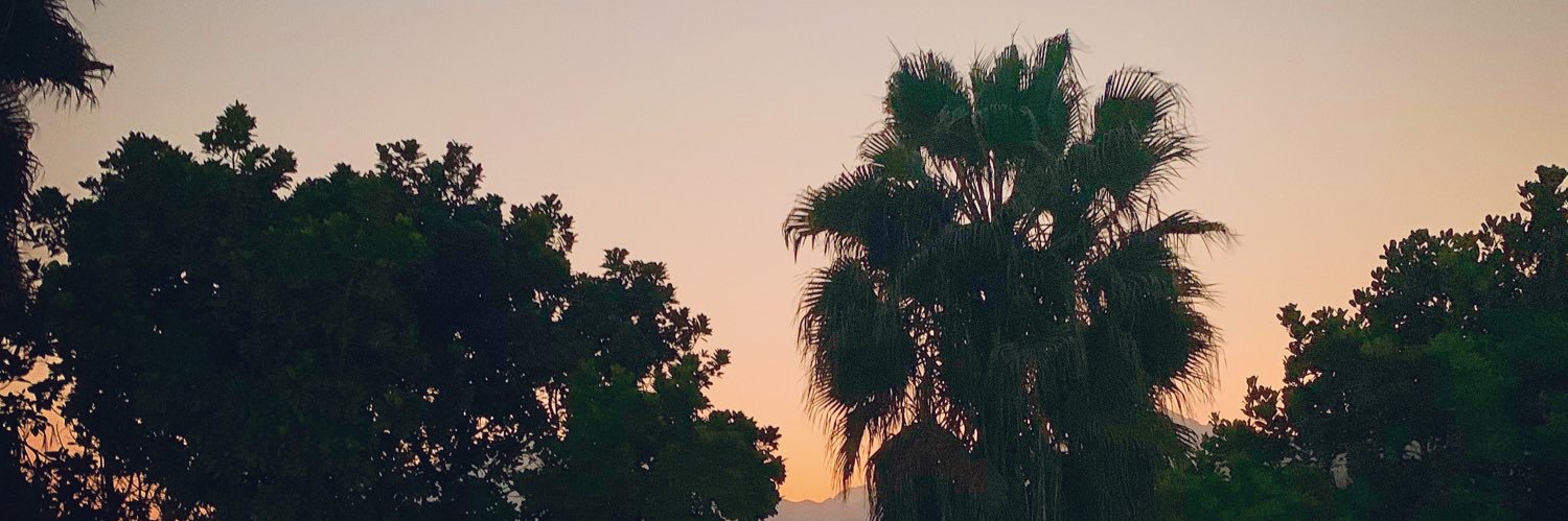 enkriptada's profile banner image