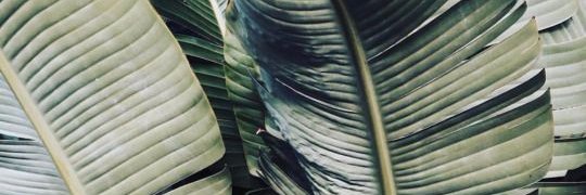 rebecamesav's profile banner image