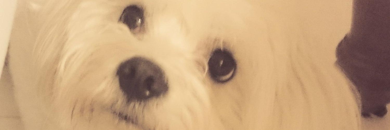 cecigardon's profile banner image