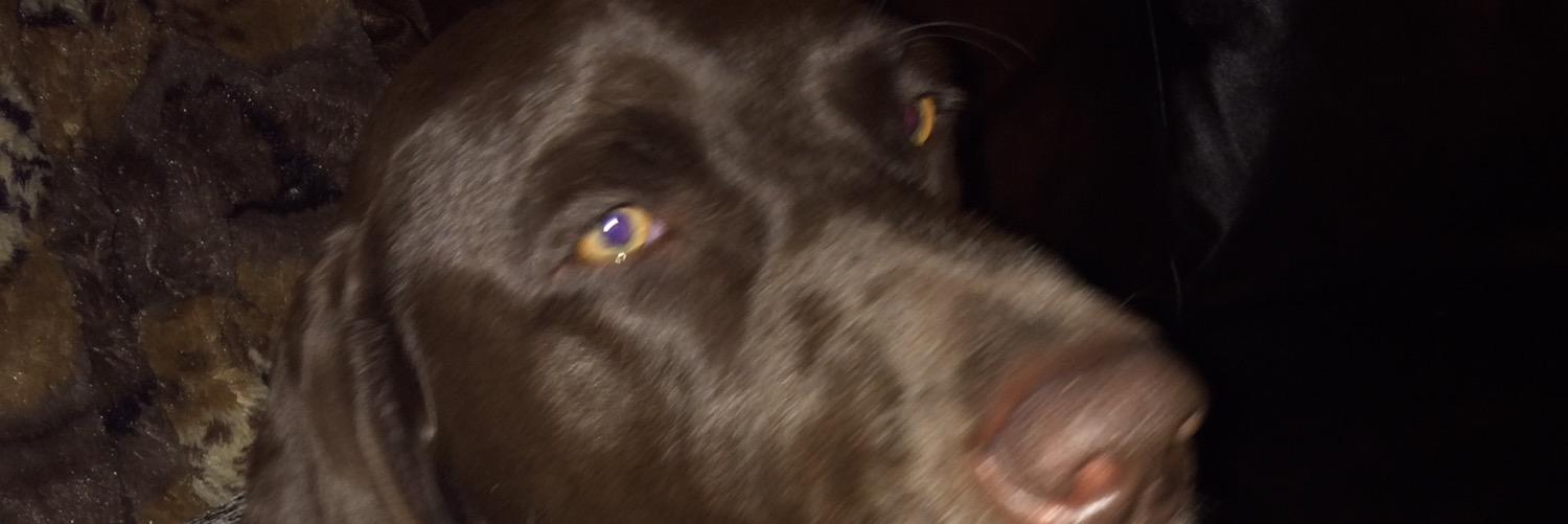 JordanJohn19's profile banner image