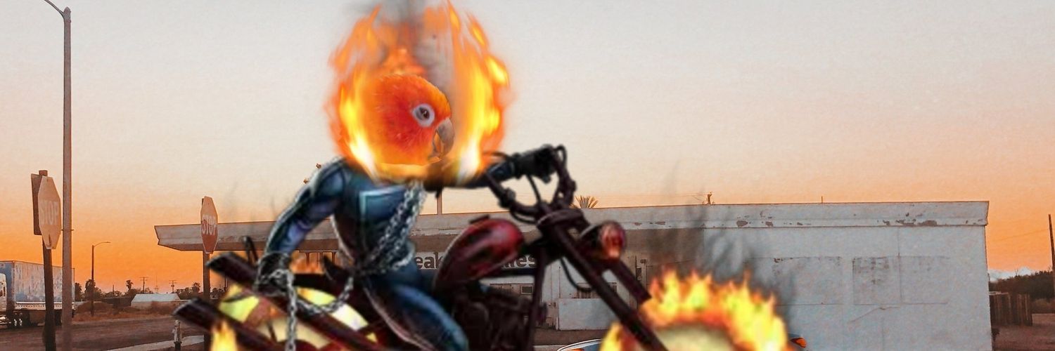 RandomCrap12's profile banner image