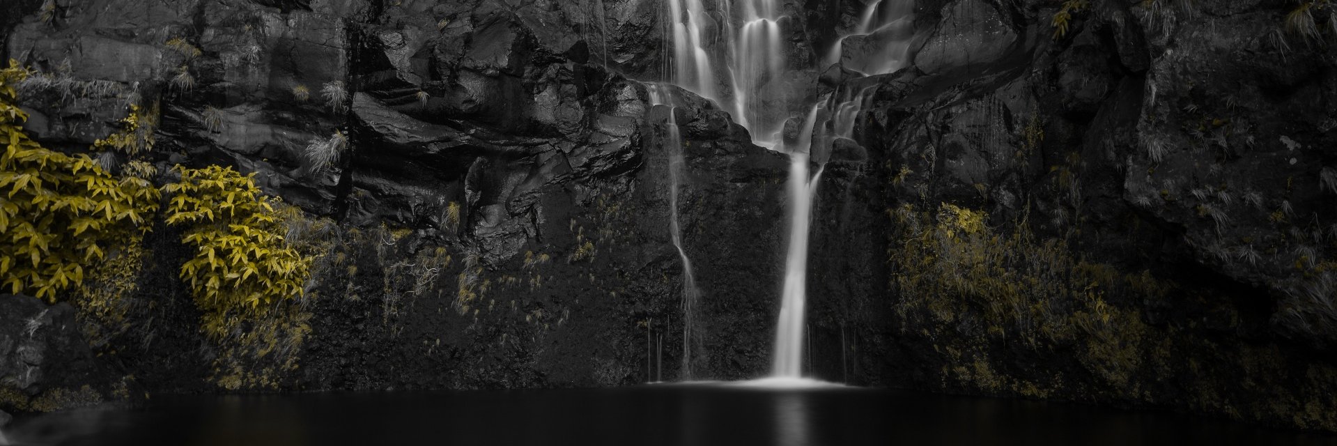 danmaiadev's profile banner image