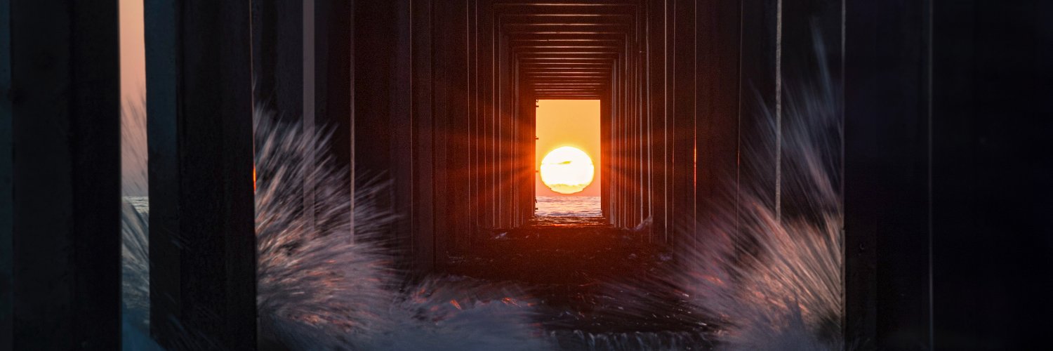 Richard Bishop banner