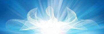 megitanner's profile banner image