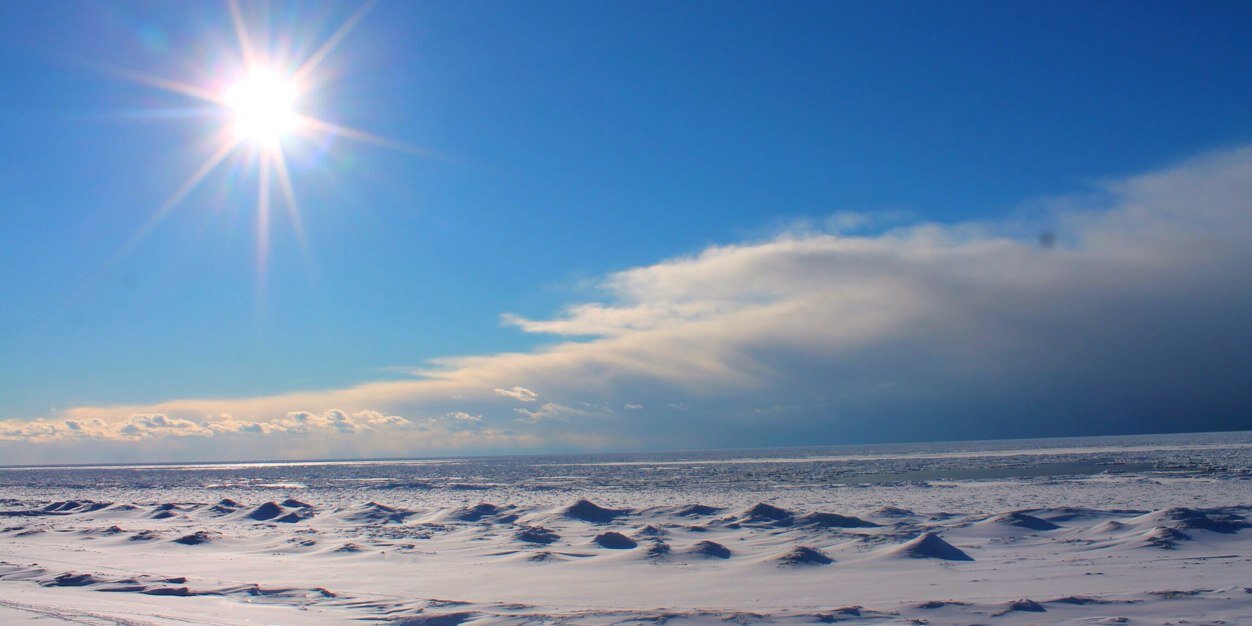 t_billinghurst's profile banner image