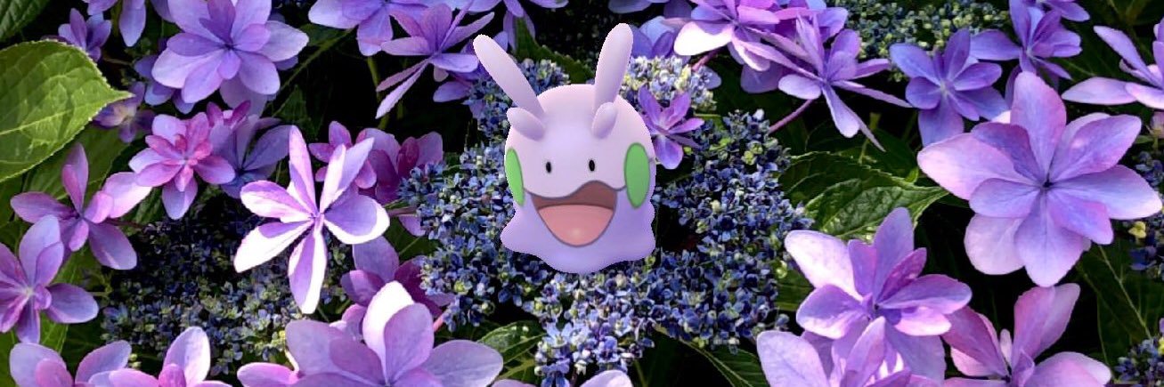 PlayWithPOKEMON's profile banner image