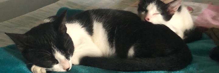 LauraCMartinezA's profile banner image