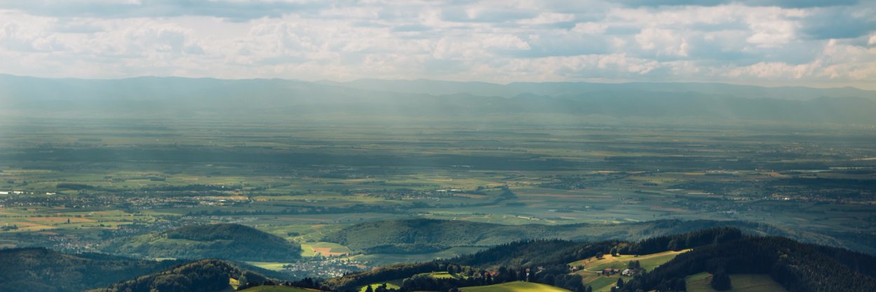 Pilskalns's profile banner image