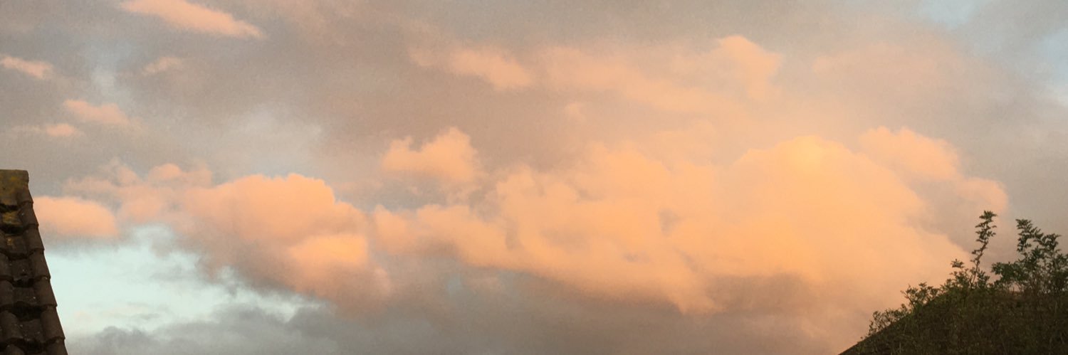 Ana Isabel banner