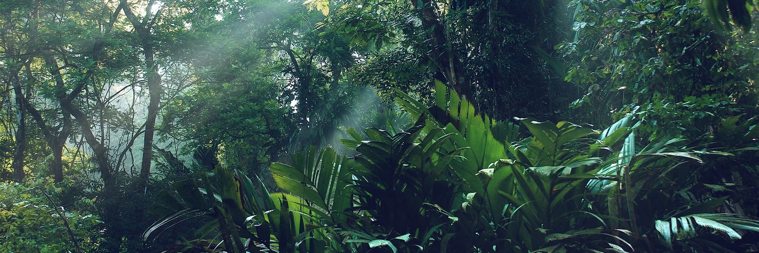 JJChai's profile banner image