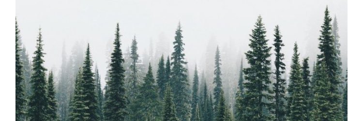 PaigeSpackman's profile banner image