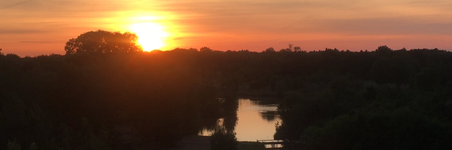 Meike de Jong banner