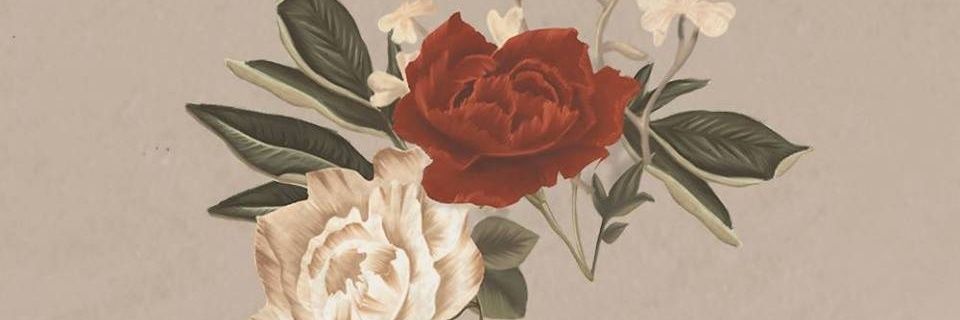 adanis4's profile banner image
