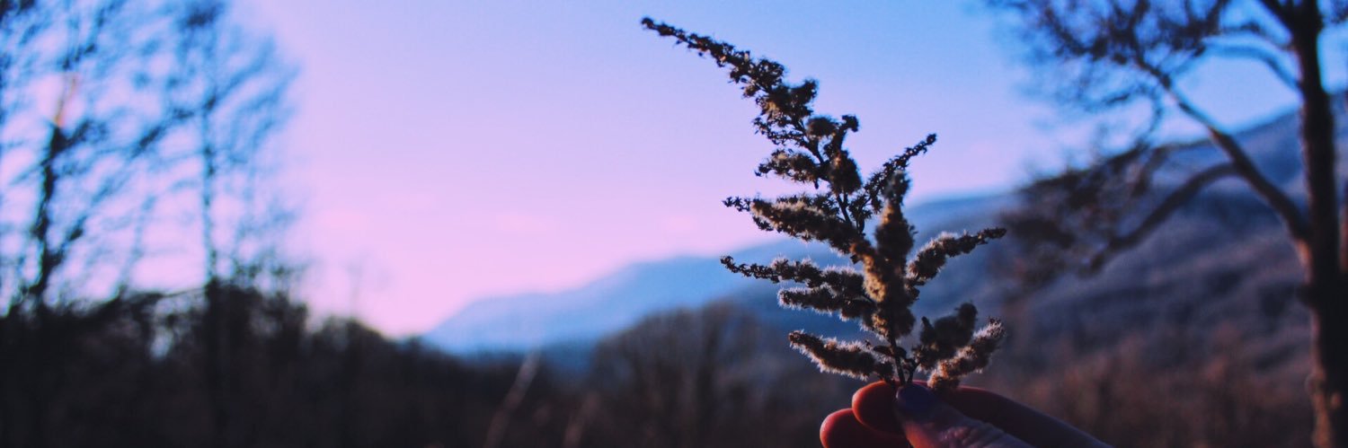 AshleyMelindaa's profile banner image