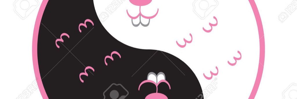 RubenPaez1's profile banner image