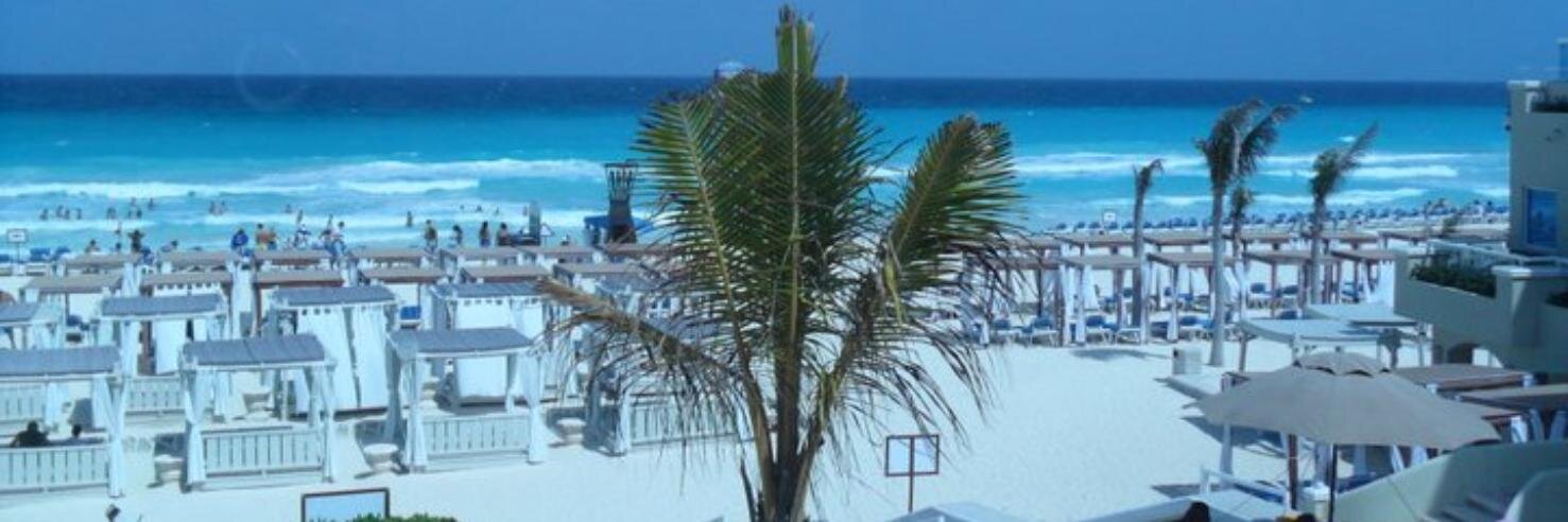 AllyCat 💙🤍 banner