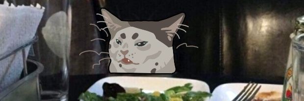 calicocattus's profile banner image