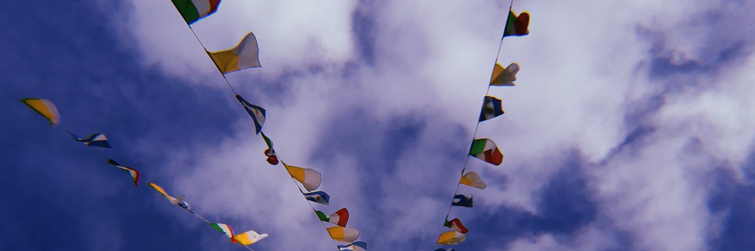 MariHuarte's profile banner image