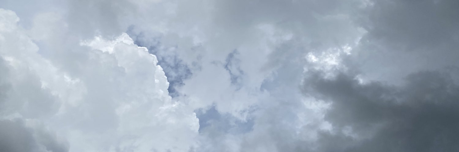 ericveec's profile banner image