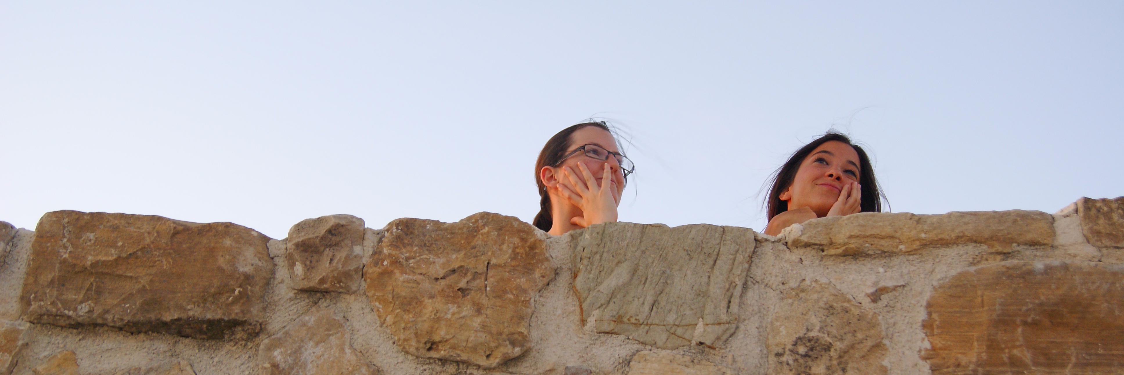 RoxaCopyright's profile banner image