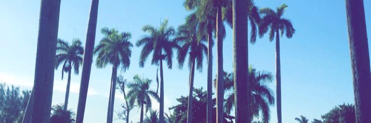 ALBerm88's profile banner image