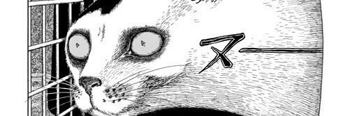 jettozeta's profile banner image