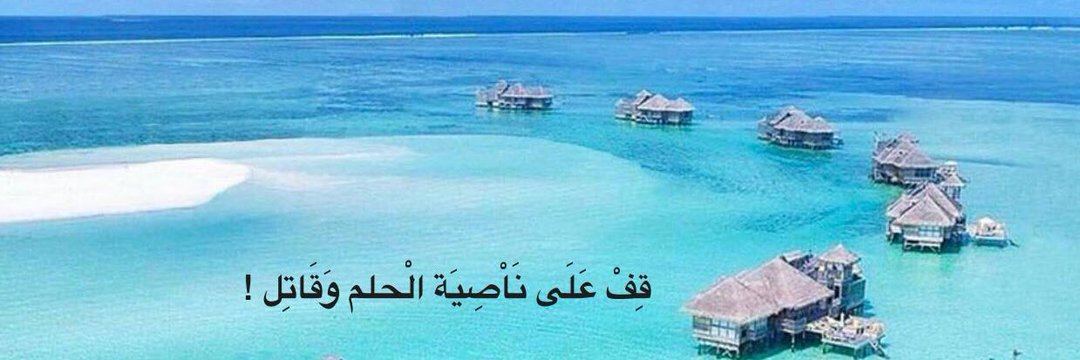 Safiah A.Alramadhan🌸✨. banner
