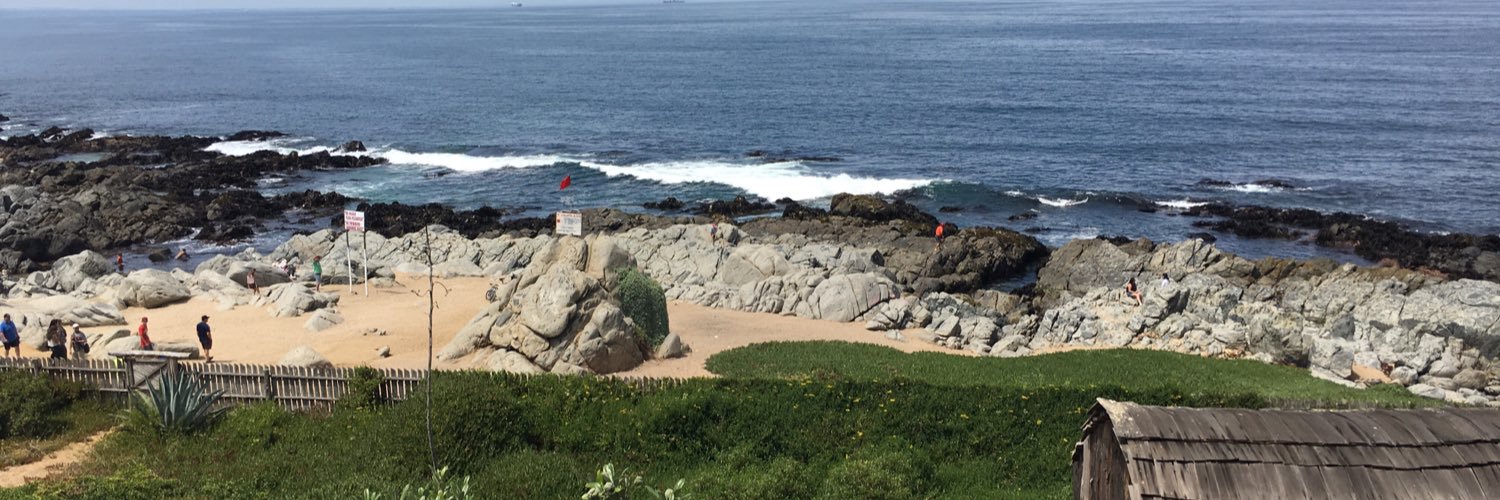 Miguel Oyanedel banner