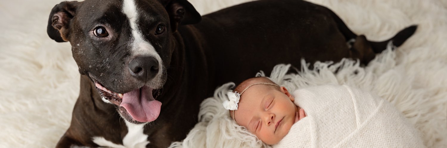 Dillon Randolph banner