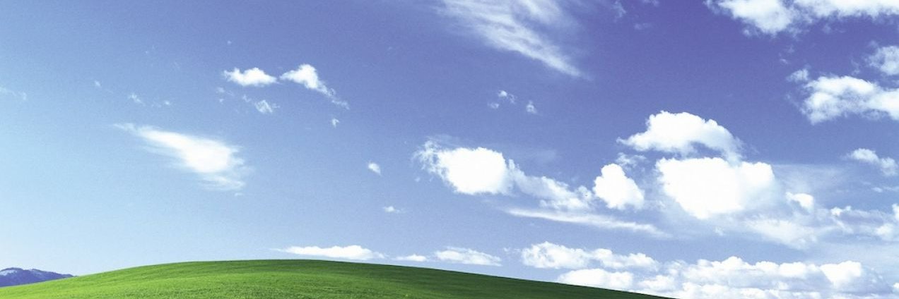 nadczłowiek, szef podludzi, król małp, banner