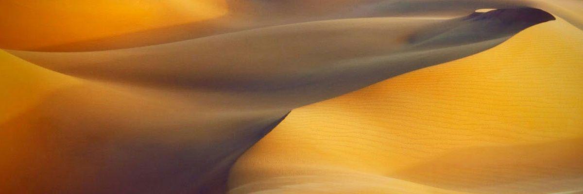 playpigeattiger's profile banner image